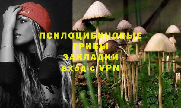 наркотики Абаза
